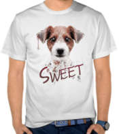Sweet Dog